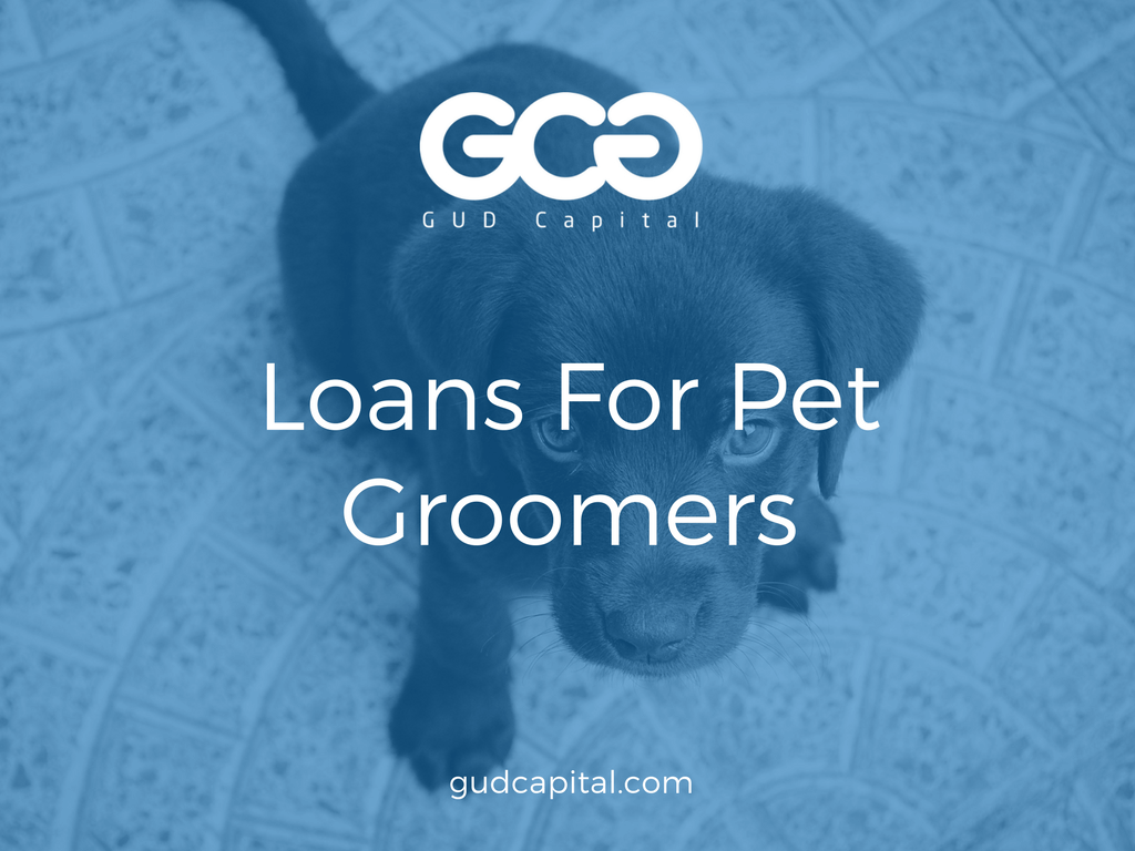 pet groomer loans